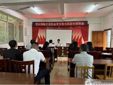 賀州保險行業協會 黨建引領聚合力，普惠金融促發展